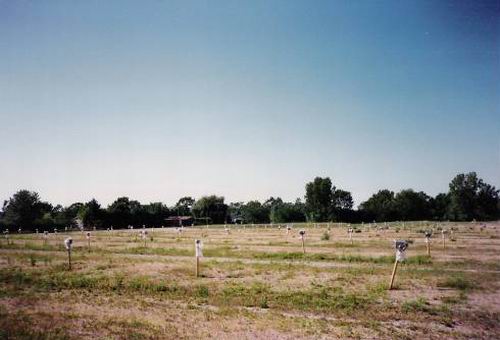 Plainfield Drive-In Theatre - Lot From Screen 1987 From Greg T